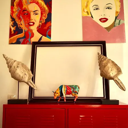 Art Senses Zamora
